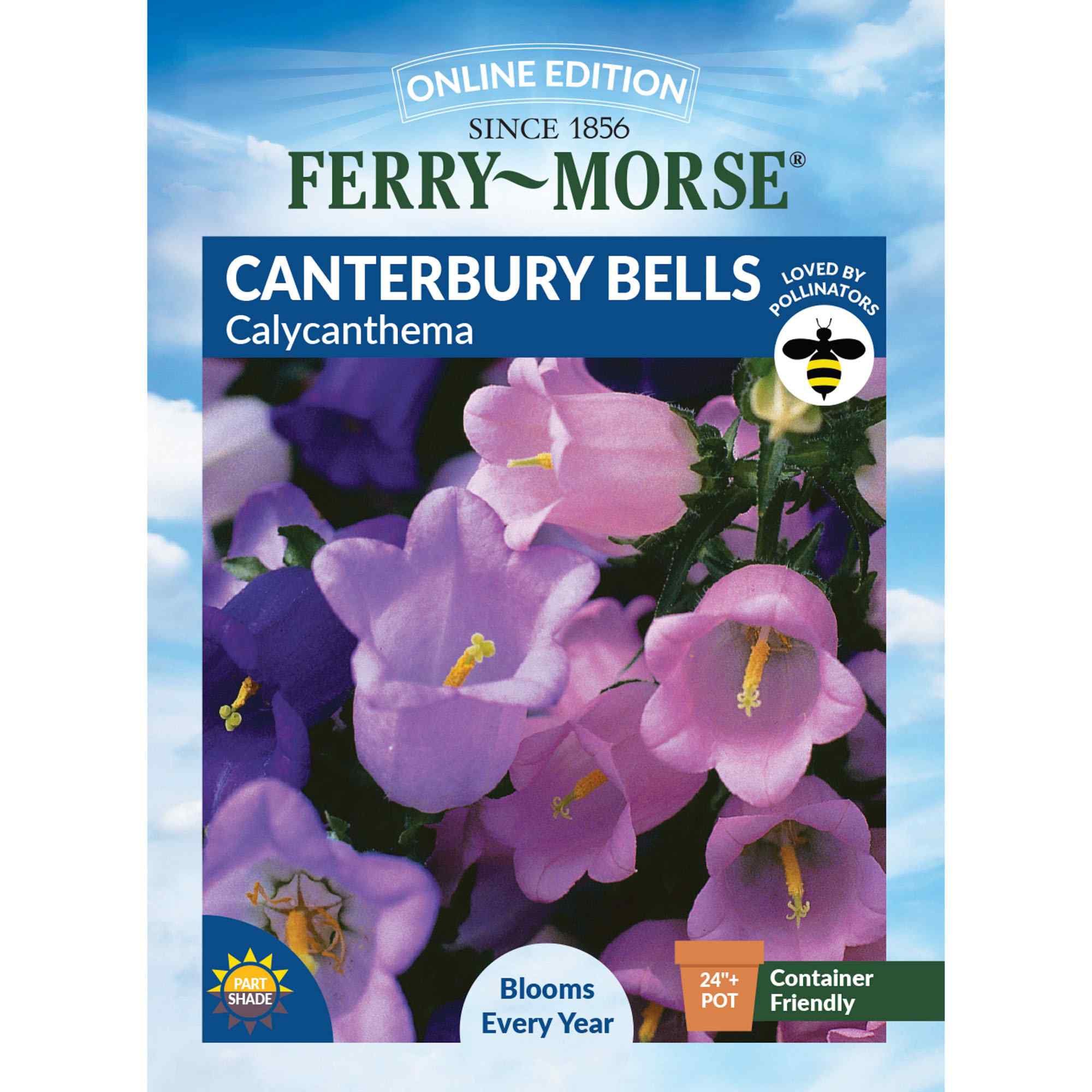 Ferry-Morse Canterbury Bells Calycanthema seed packet with flowers and branding.